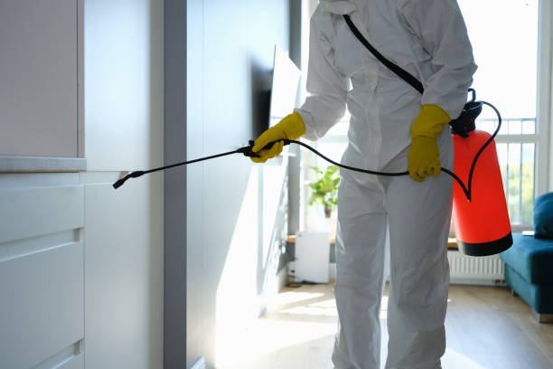 Home Mold Removal in Enosburg Falls, VT