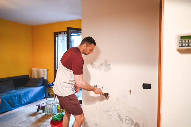 Best Black Mold Removal  in Enosburg Falls, VT